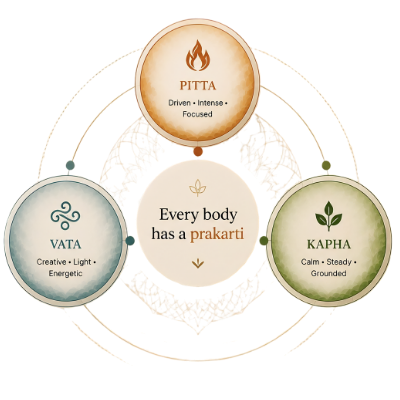 Vata, Pitta and Kapha dosha diagram